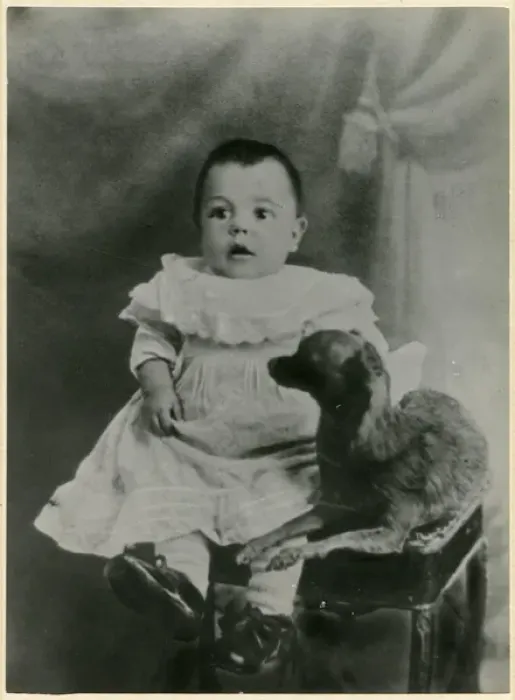Framed Print : Studio photo, baby and pet dog Framed Print : Studio photo, baby and pet dog