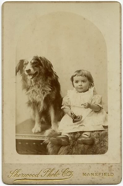 Studio portrait, boy with dog