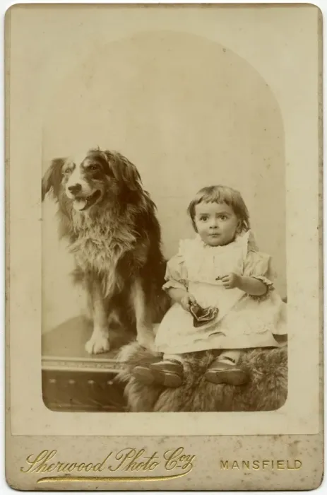 Framed Print : Studio portrait, boy with dog Framed Print : Studio portrait, boy with dog