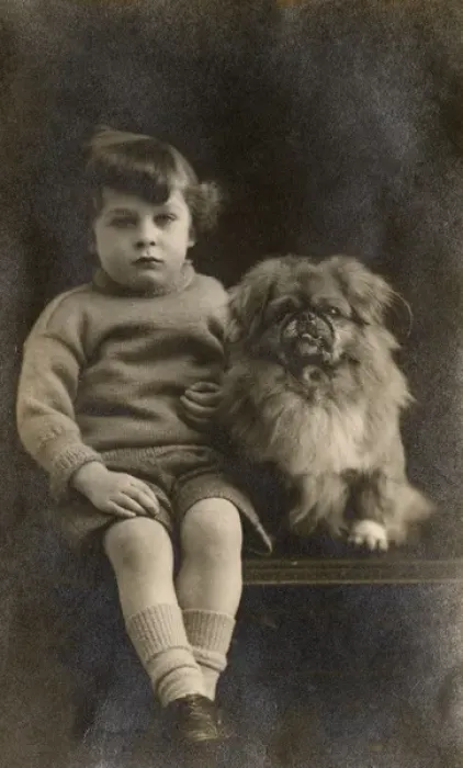 Framed Print : Studio portrait, boy with Pekingese dog Framed Print : Studio portrait, boy with Pekingese dog