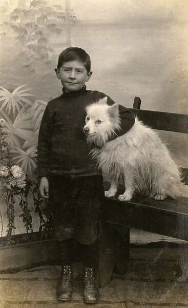 Studio portrait, boy with white dog
