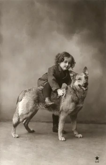 Framed Print : Studio portrait, child sitting on back of dog, France Framed Print : Studio portrait, child sitting on back of dog, France