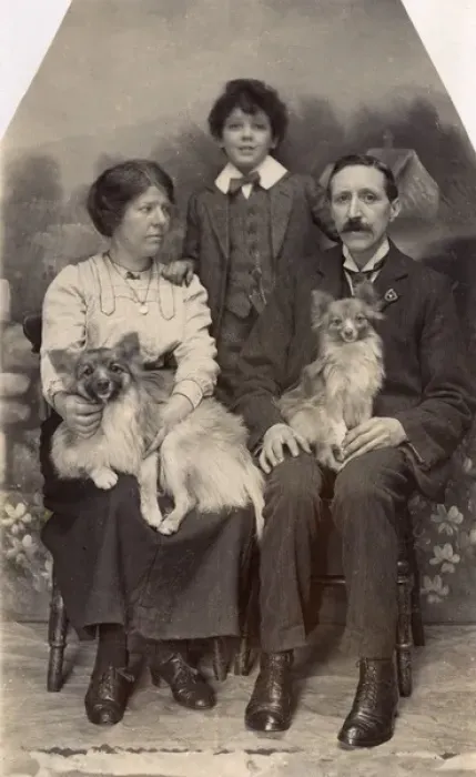 Framed Print : Studio portrait, family of three with two dogs Framed Print : Studio portrait, family of three with two dogs