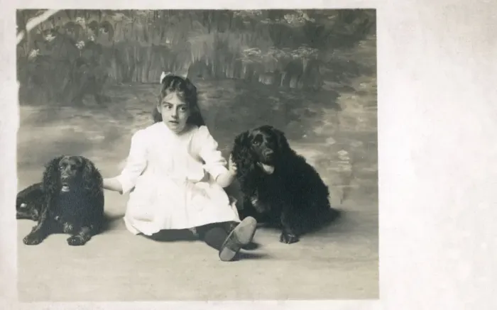 Framed Print : Studio portrait of a girl and two dogs Framed Print : Studio portrait of a girl and two dogs