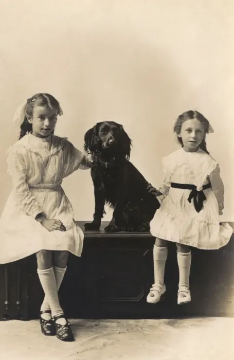 Framed Print : Studio portrait, two girls with spaniel Framed Print : Studio portrait, two girls with spaniel