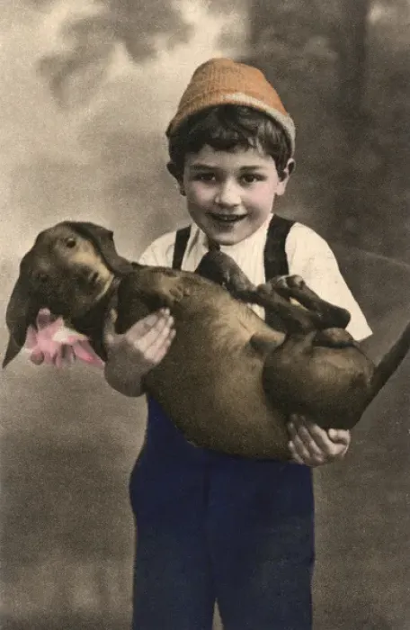 Framed Print : Studio portrait, little boy with dachshund Framed Print : Studio portrait, little boy with dachshund