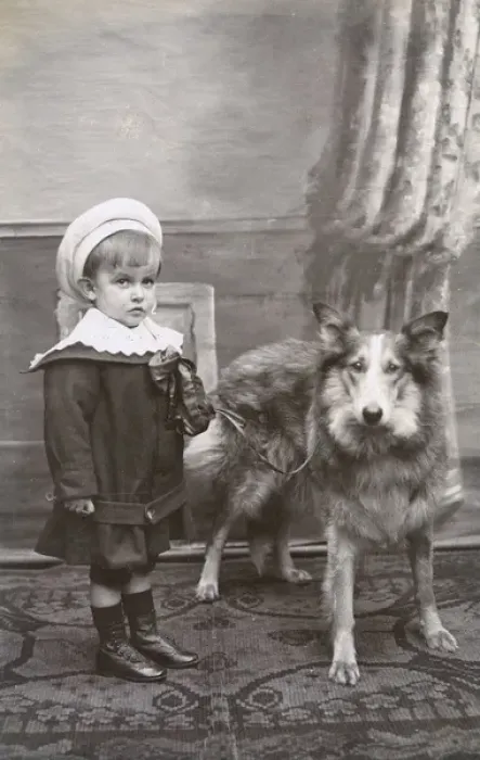 Framed Print : Studio portrait, little boy with a dog Framed Print : Studio portrait, little boy with a dog