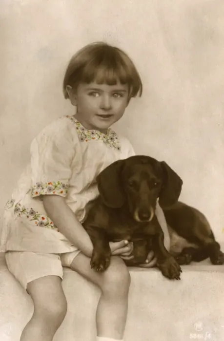 Framed Print : Studio portrait, little child with dachshund Framed Print : Studio portrait, little child with dachshund
