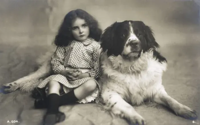 Framed Print : Studio portrait of little girl and large dog Framed Print : Studio portrait of little girl and large dog