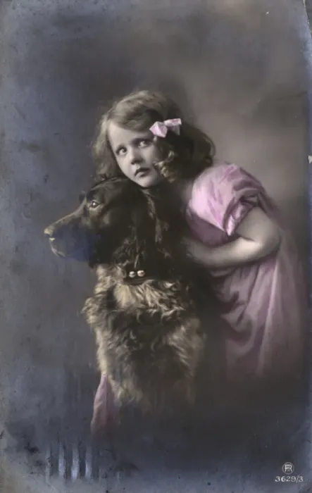 Framed Print : Studio portrait, little girl with large dog Framed Print : Studio portrait, little girl with large dog