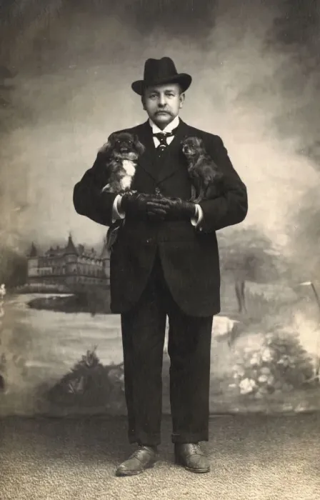 Framed Print : Studio portrait, man with two Pekingese dogs Framed Print : Studio portrait, man with two Pekingese dogs