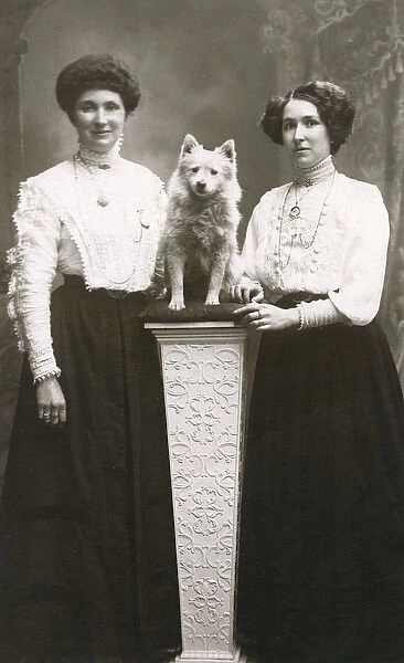 Studio portrait, two women with dog on pedestal