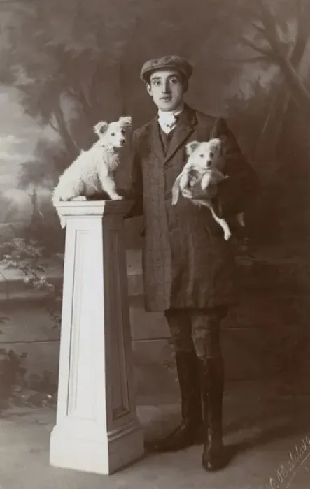 Framed Print : Studio portrait, young man with two little dogs Framed Print : Studio portrait, young man with two little dogs