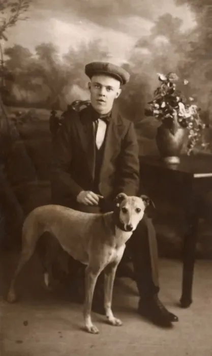 Framed Print : Studio portrait, young man with lurcher Framed Print : Studio portrait, young man with lurcher