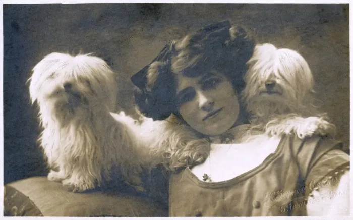 Framed Print : Studio portrait, young woman with two dogs Framed Print : Studio portrait, young woman with two dogs