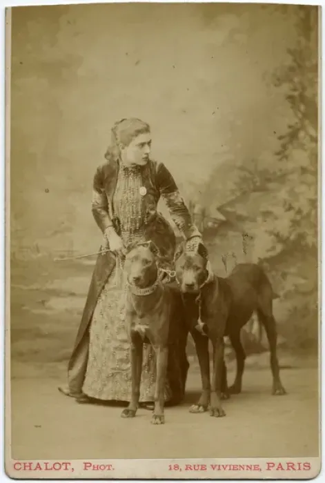 Framed Print : Studio portrait, young woman with two dogs Framed Print : Studio portrait, young woman with two dogs