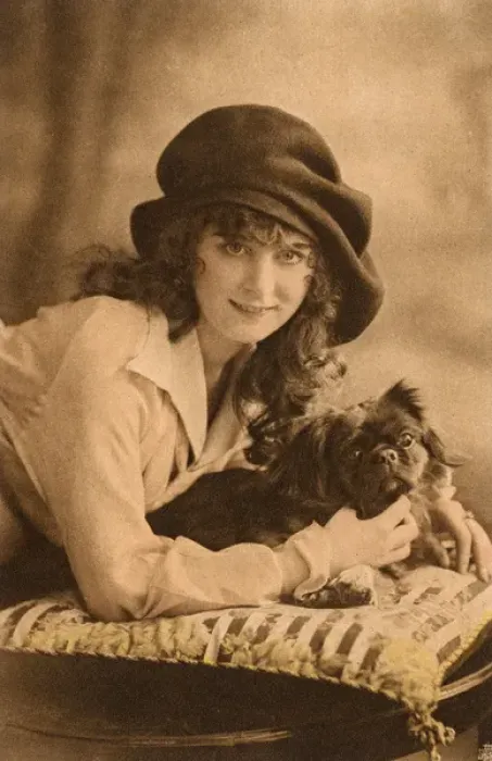 Framed Print : Studio portrait, young woman with Pekingese dog Framed Print : Studio portrait, young woman with Pekingese dog