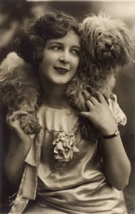Framed Print : Studio portrait, young woman with terrier dog Framed Print : Studio portrait, young woman with terrier dog