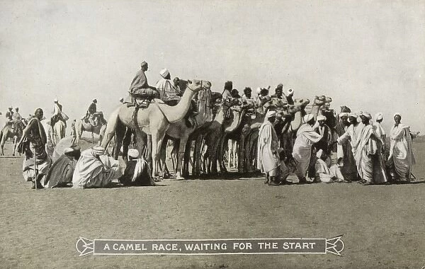 Sudan - A Camel Race