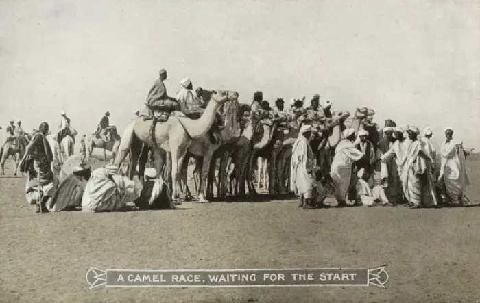 Framed Print : Sudan - A Camel Race Framed Print : Sudan - A Camel Race