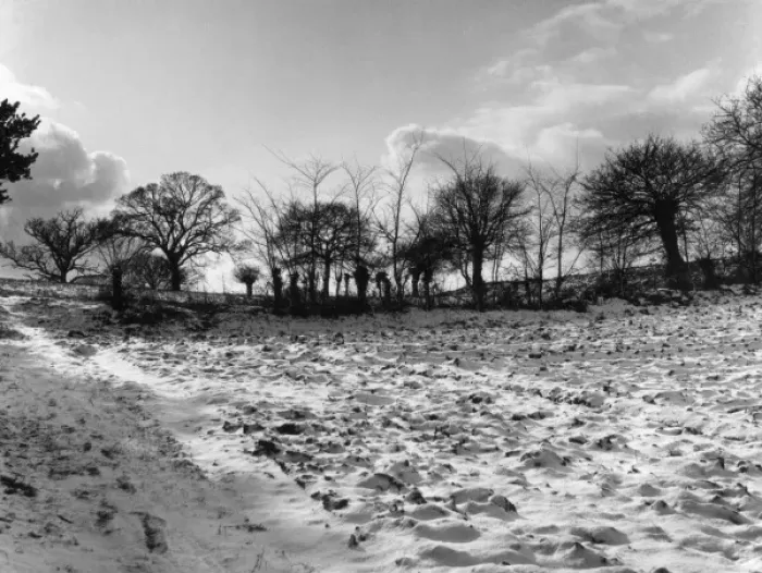 Framed Print : Suffolk Snow Framed Print : Suffolk Snow