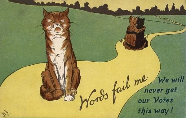 Suffragette Cats Embracing Words Fail Me