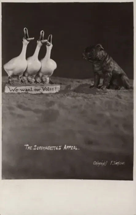 Framed Print : Suffragette Geese want a Vote Framed Print : Suffragette Geese want a Vote
