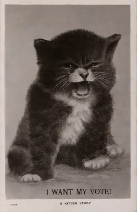 Framed Print : Suffragette Kitten I Want My Vote Framed Print : Suffragette Kitten I Want My Vote