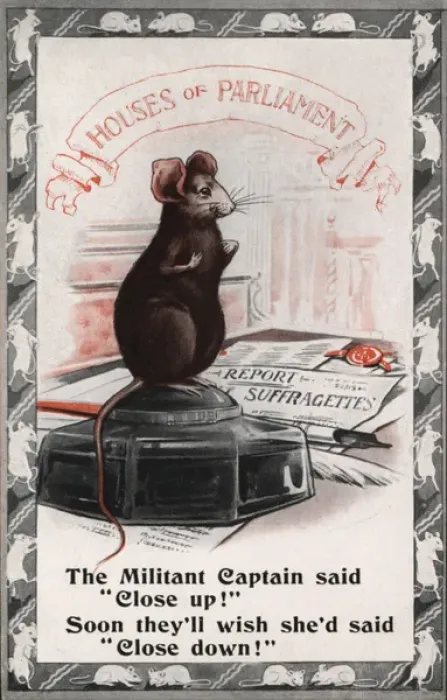 Framed Print : Suffragette Mouse in Houses of Parliament Framed Print : Suffragette Mouse in Houses of Parliament