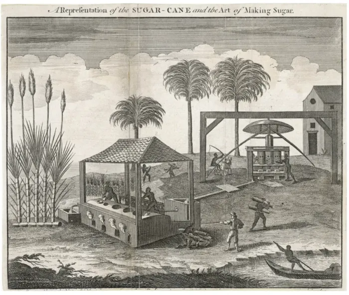 Framed Print : Sugar-Cane-Making Sugar Framed Print : Sugar-Cane-Making Sugar
