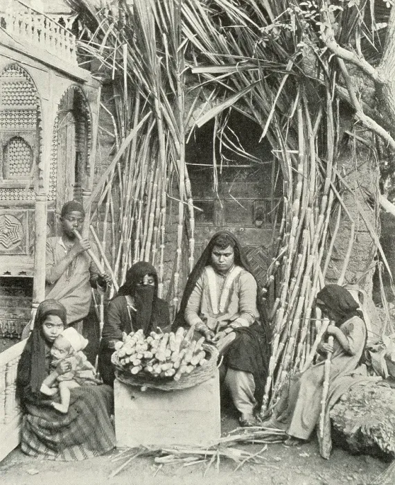 Framed Print : Sugarcane Sellers, Cairo, Egypt Framed Print : Sugarcane Sellers, Cairo, Egypt