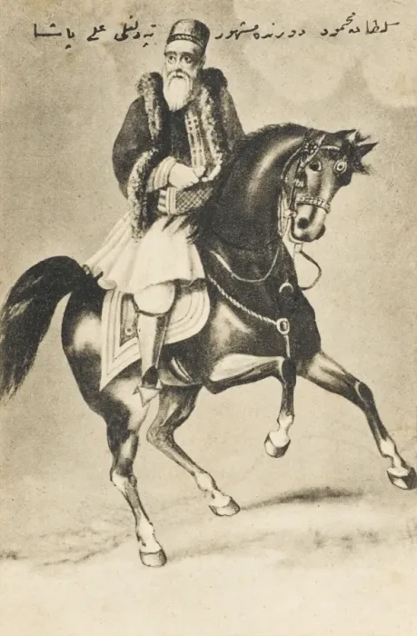 Framed Print : Sultan Mahmud I Framed Print : Sultan Mahmud I