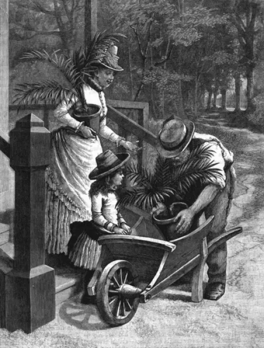 Framed Print : Their summer change of air, potted plants, c. 1880 Framed Print : Their summer change of air, potted plants, c. 1880
