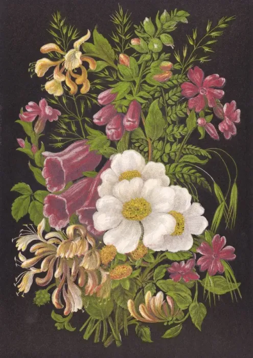 Framed Print : Summer Flowers 1880 Framed Print : Summer Flowers 1880
