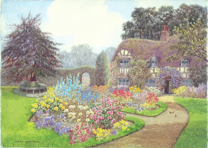 Framed Print : A summer garden Framed Print : A summer garden