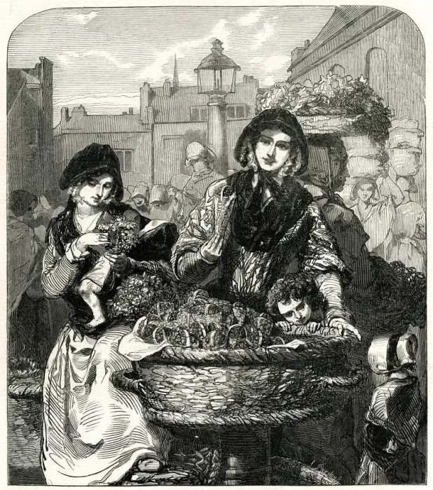 Framed Print : Summer - The Strawberry Girl 1849 Framed Print : Summer - The Strawberry Girl 1849