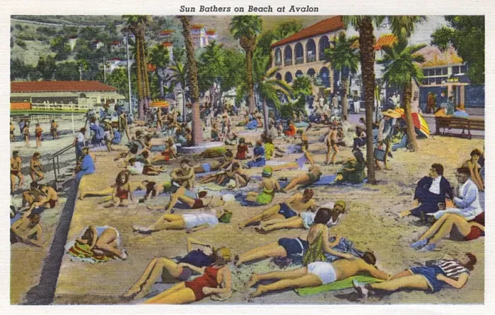 Framed Print : Sunbathers on beach, Santa Catalina Island, California, USA