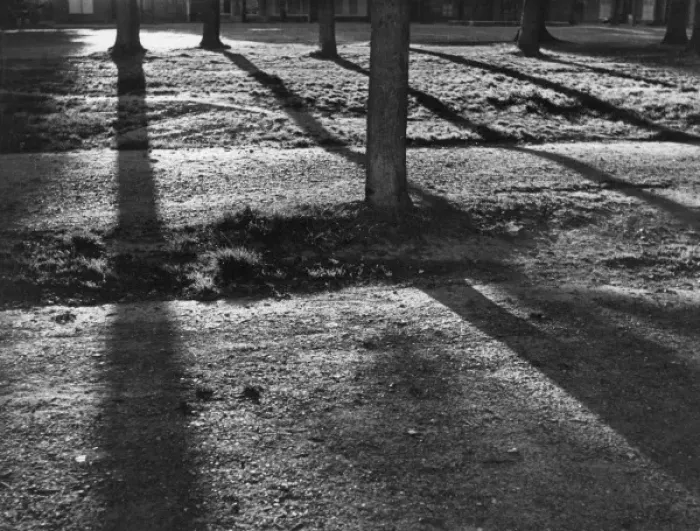 Framed Print : Sunshine and Shadow Framed Print : Sunshine and Shadow