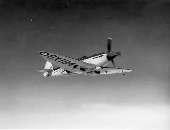Framed Print : Supermarine Seafire XVII SX194 Framed Print : Supermarine Seafire XVII SX194