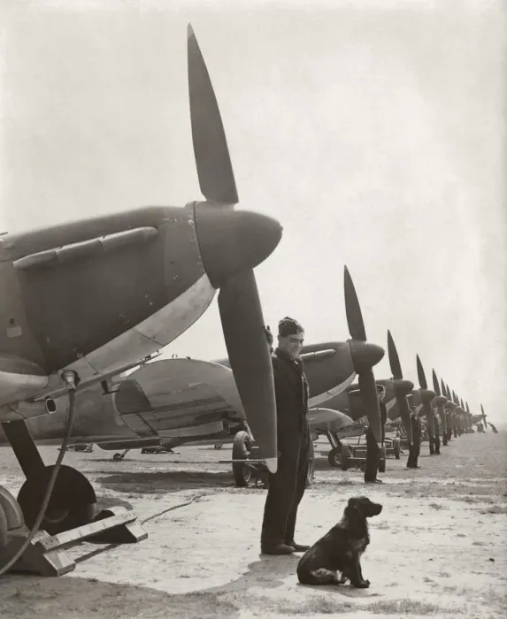 Framed Print : Supermarine Spitfire 1 / I Framed Print : Supermarine Spitfire 1 / I
