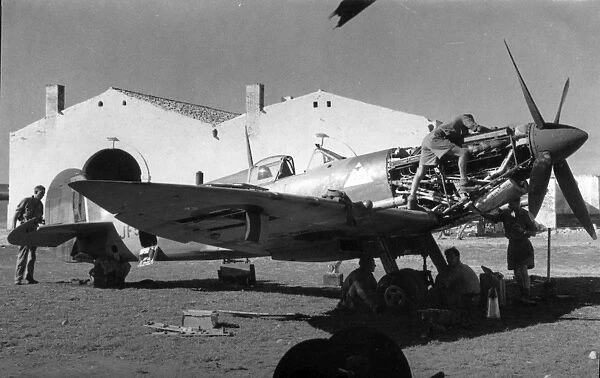 Supermarine Spitfire of the Desert Air Force being serviced