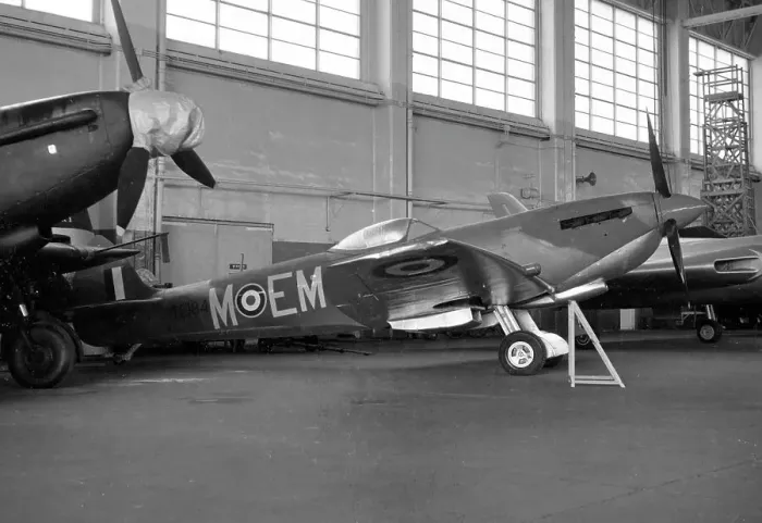 Framed Print : Supermarine Spitfire LF Mk. XVIE TE184 M - EM Framed Print : Supermarine Spitfire LF Mk. XVIE TE184 M - EM