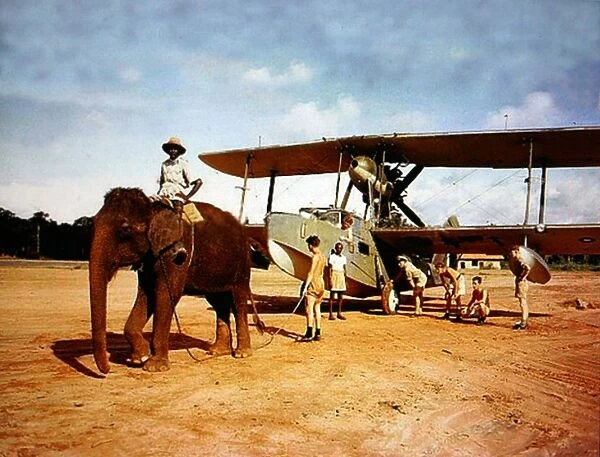 Supermarine Walrus -seen being towed by elephant