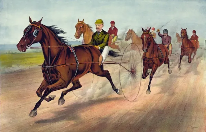 Framed Print : A sure horse for the first money Framed Print : A sure horse for the first money