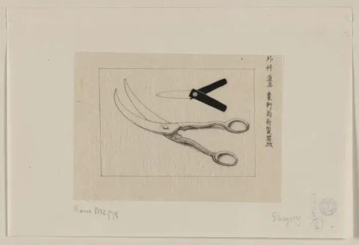 Framed Print : Surgery scissors and lancet Framed Print : Surgery scissors and lancet