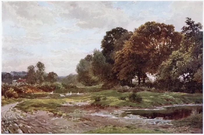 Framed Print : SURREY : The pond on the common at Esher, with some geese. Date: 1906