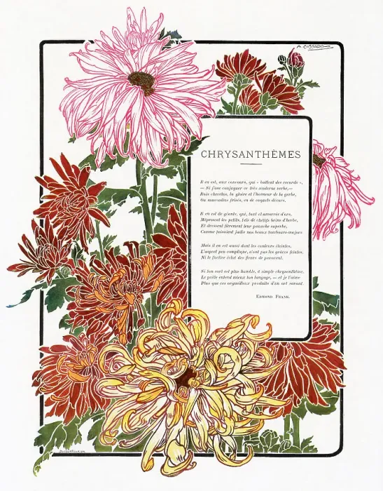 Framed Print : Surrounded by chrysanthemums. Date: 1903 Framed Print : Surrounded by chrysanthemums. Date: 1903