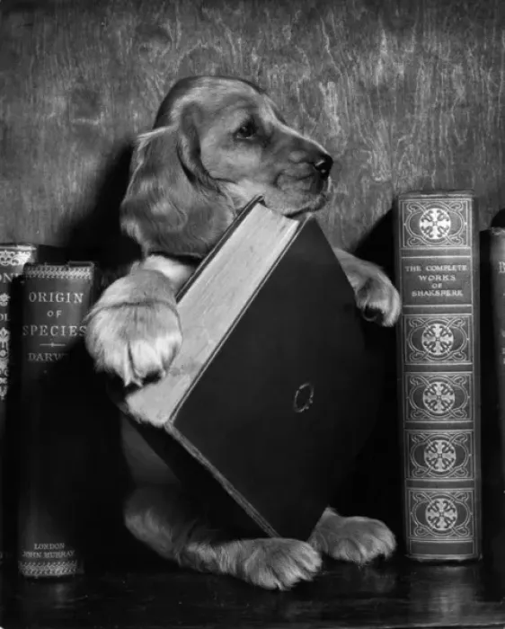 Framed Print : Susi - with books Framed Print : Susi - with books