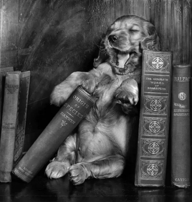 Framed Print : Susi - with books Framed Print : Susi - with books