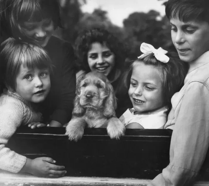 Framed Print : Susi - with five children Framed Print : Susi - with five children